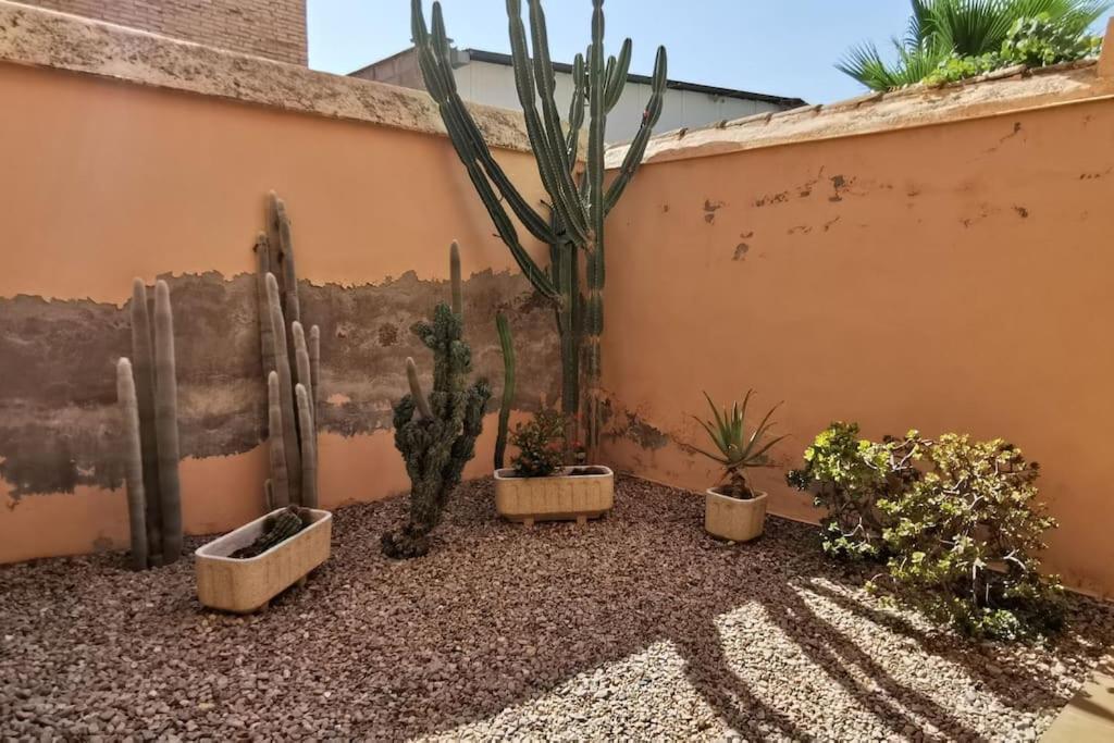 Casa Bretalunya Villa Benissanet Bagian luar foto